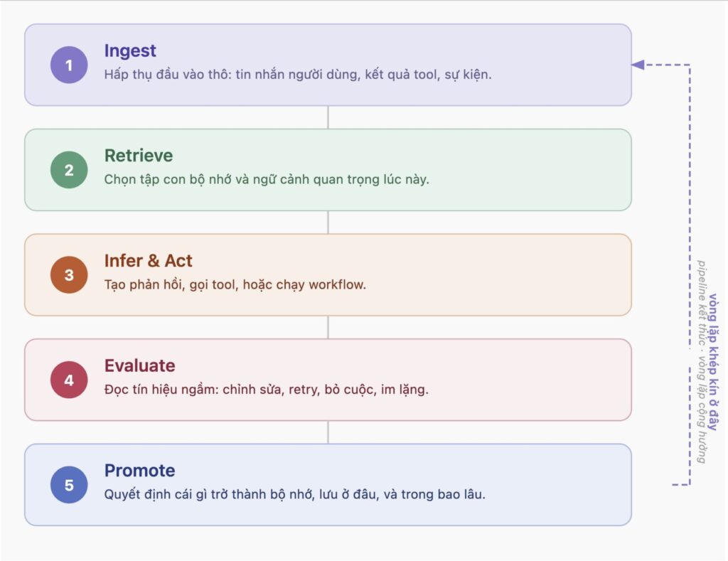 Sơ đồ vòng lặp agent gồm năm pha: Ingest, Retrieve, Infer & Act, Evaluate, Promote